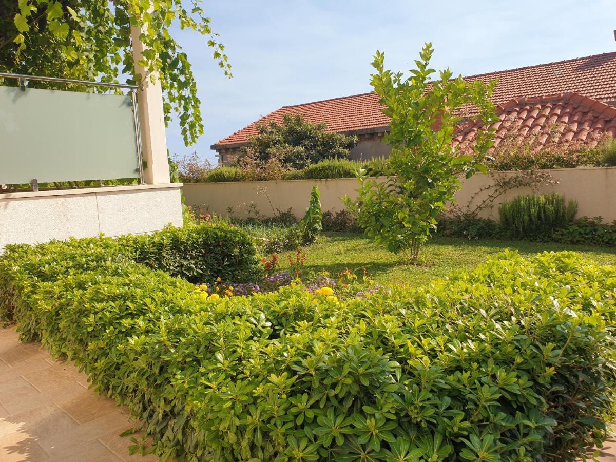 Апартаменты Abelia, Two Terraces, Hot Tub, Free Parking Дубровник Экстерьер фото